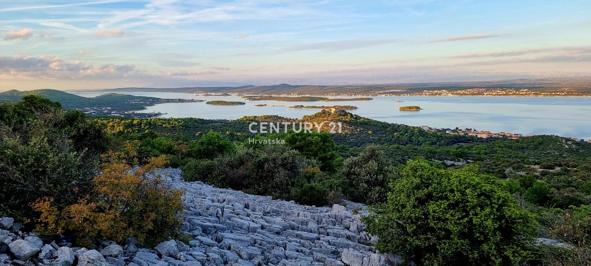 Tkon, otok Pašman, prodaja velike zapuščene oljčne nasade
