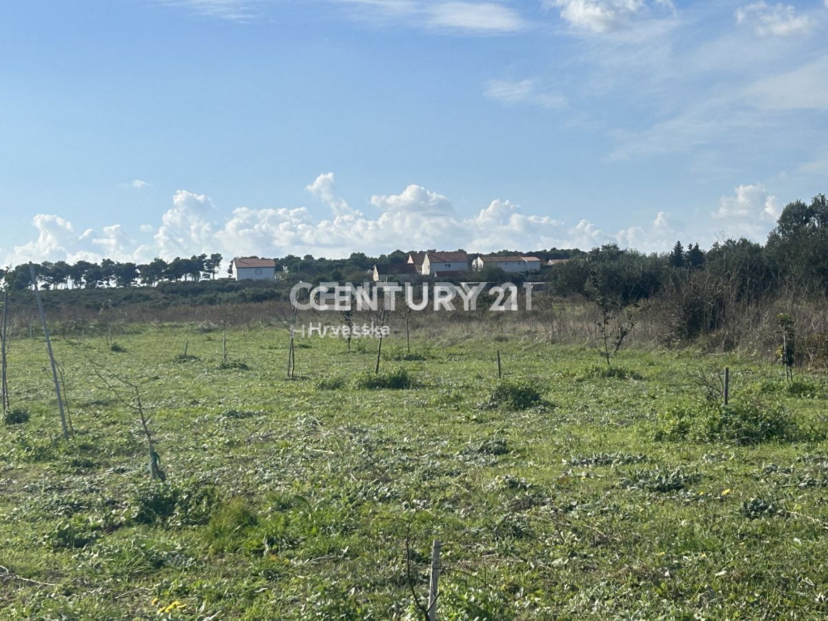 Kmetijsko zemljišče v Biogradu na Moru velikosti 1854 m2