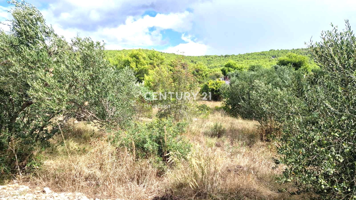 Tribunj - Šibenska županija - gradbena parcela z razgledom na morje