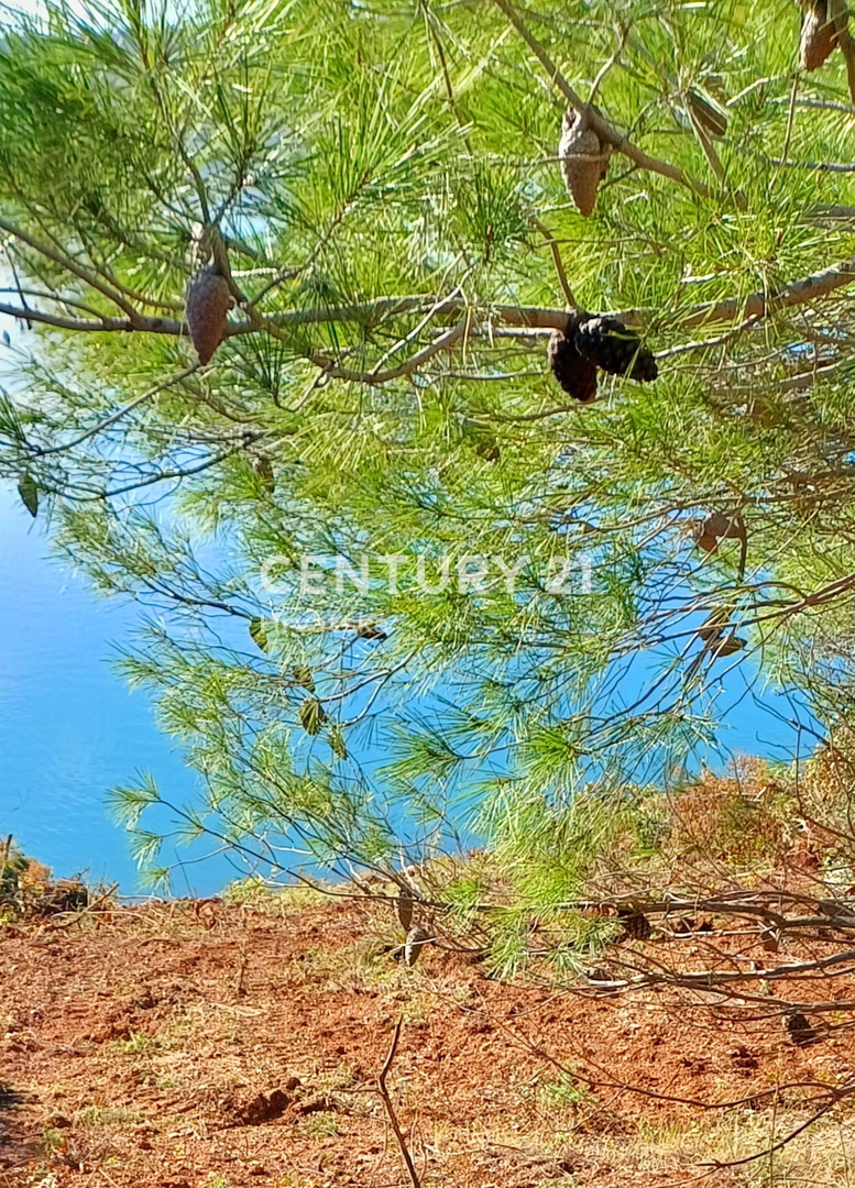 Kruševo - Meka Draga gradbeno zemljišče s pogledom na morje