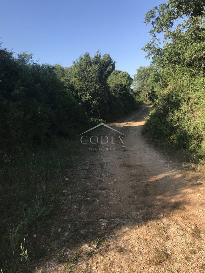 Barban - prodaja gradbenega zemljišča