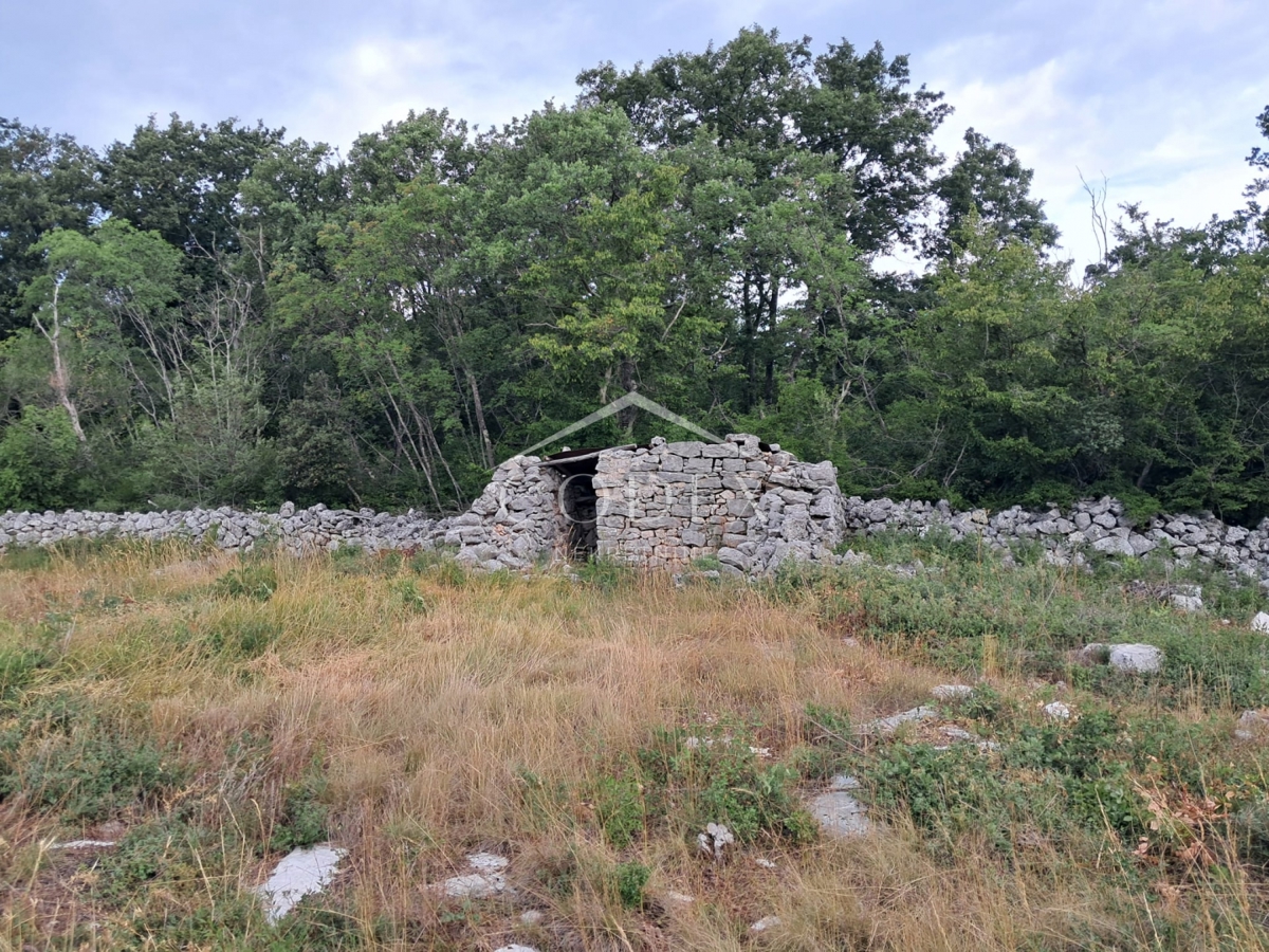Rovinj - prodaja kmetijskega zemljišča