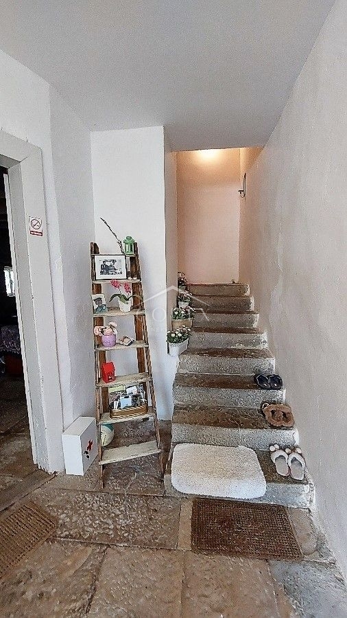 Livade - hiša z bazenom in veliko potenciala