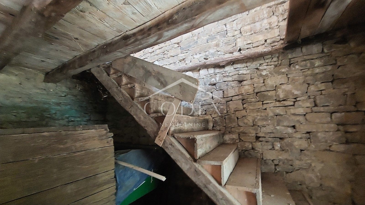Livade - hiša z bazenom in veliko potenciala