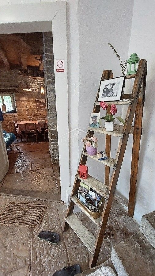 Livade - hiša z bazenom in veliko potenciala