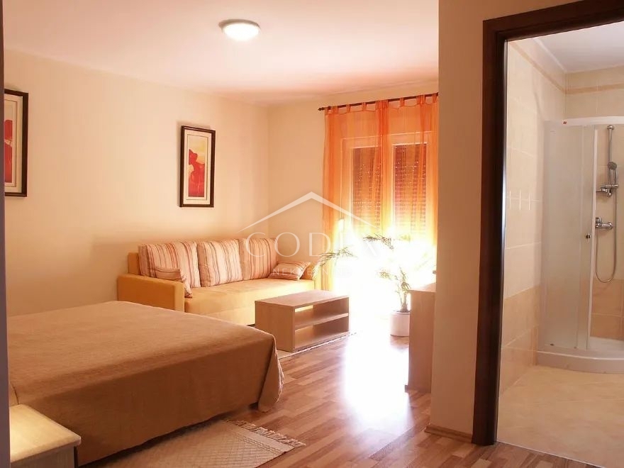 Umag, okolica - vila z namestitvenimi enotami 100 m od morja