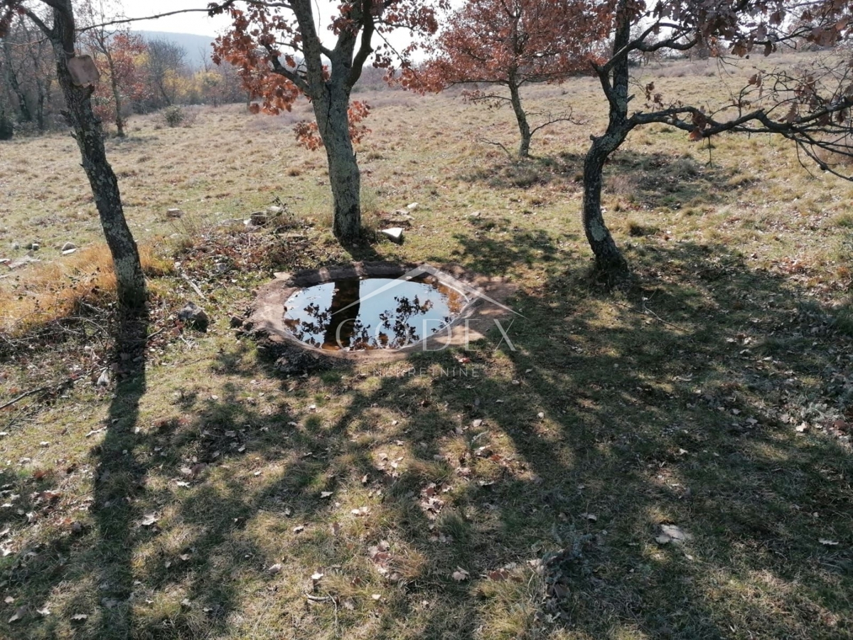 Višnjan - prodaja večje kmetijske parcele s pogledom na morje