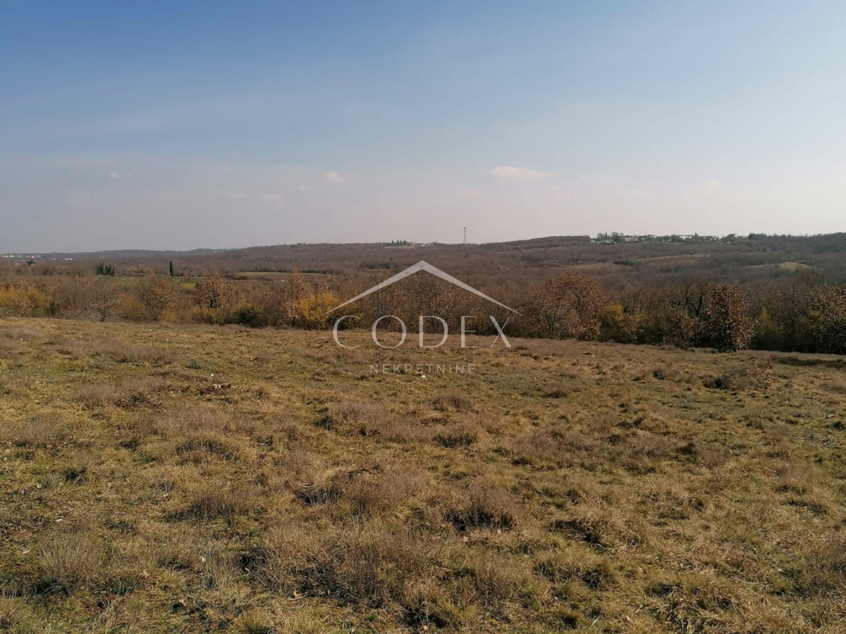 Višnjan - prodaja večje kmetijske parcele s pogledom na morje