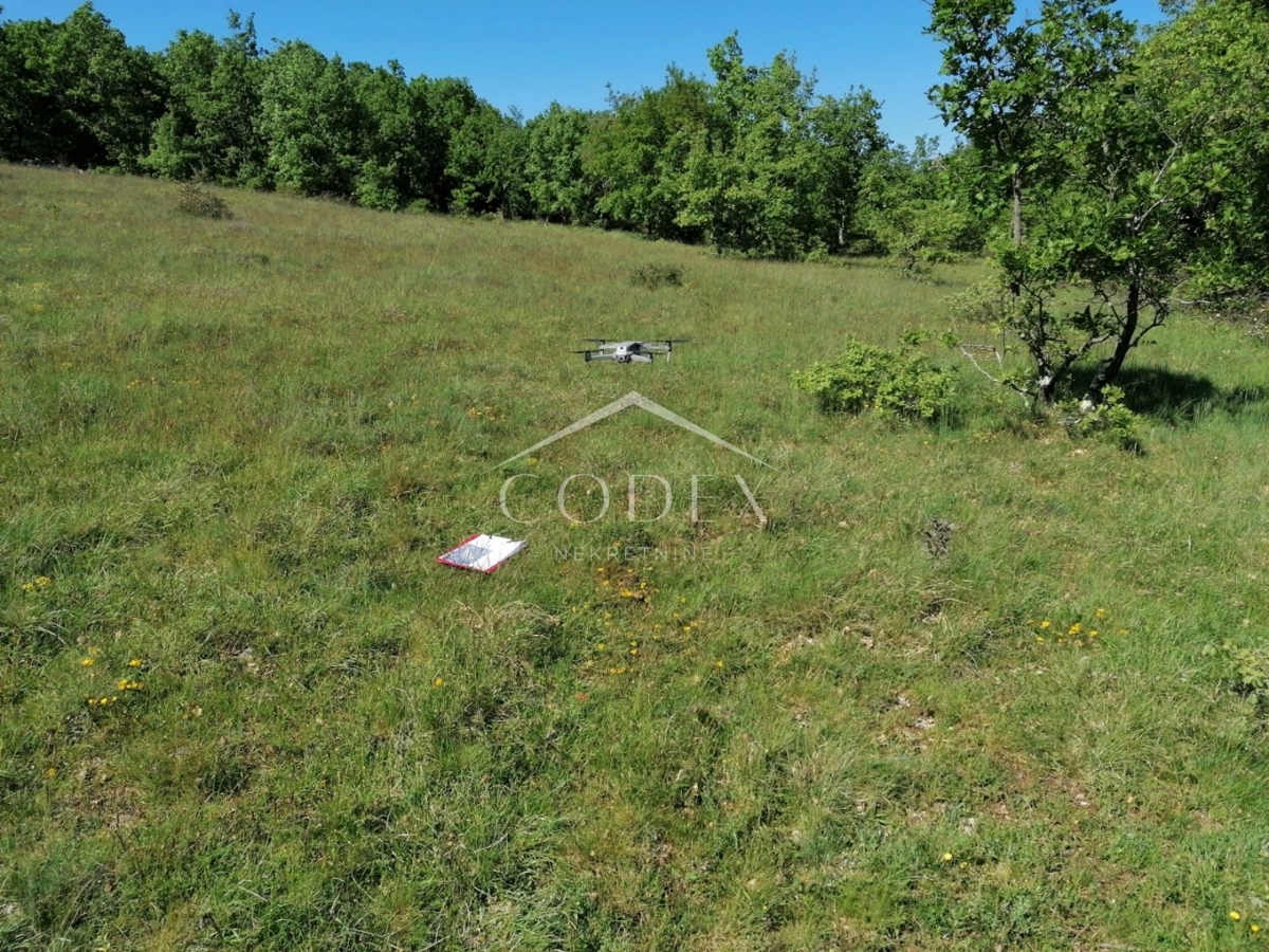 Višnjan - prodaja večje kmetijske parcele s pogledom na morje