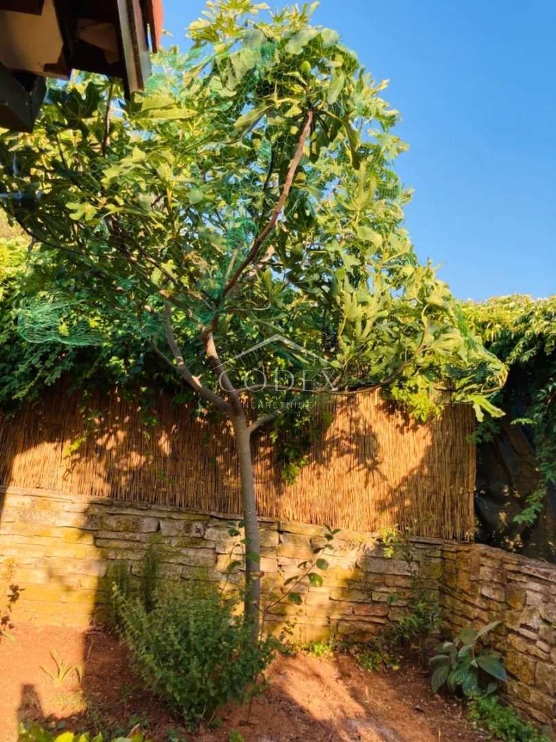 Ližnjan - prodaja 2 hiš na odlični lokaciji