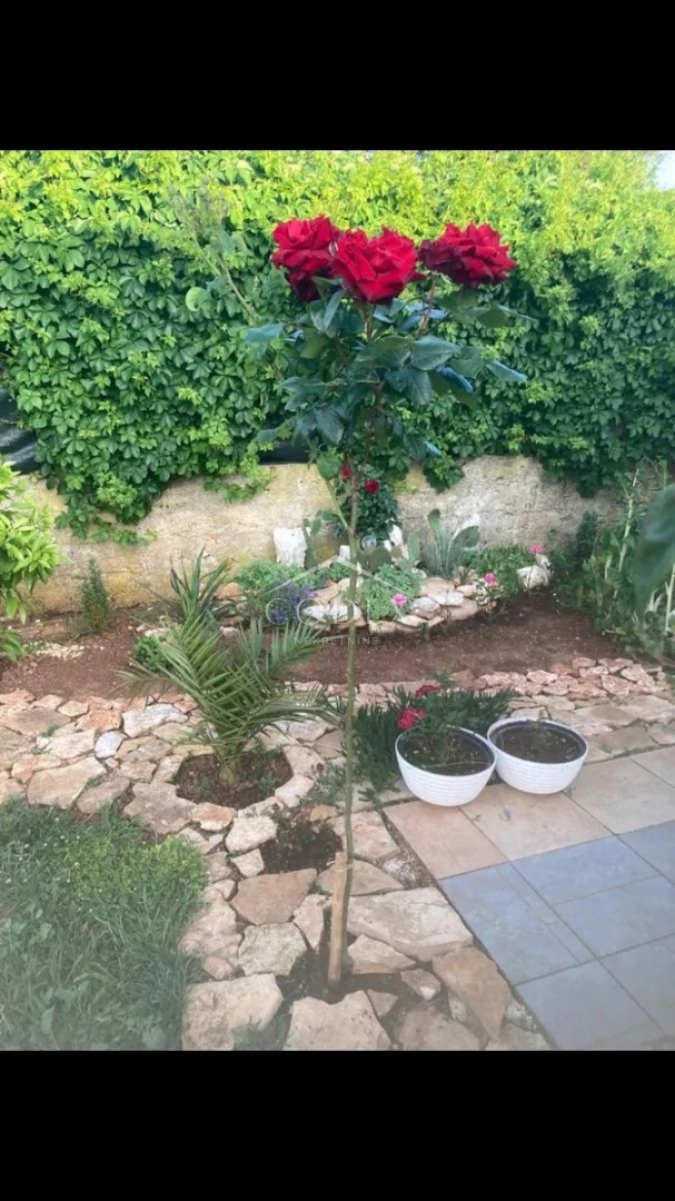 Ližnjan - prodaja 2 hiš na odlični lokaciji