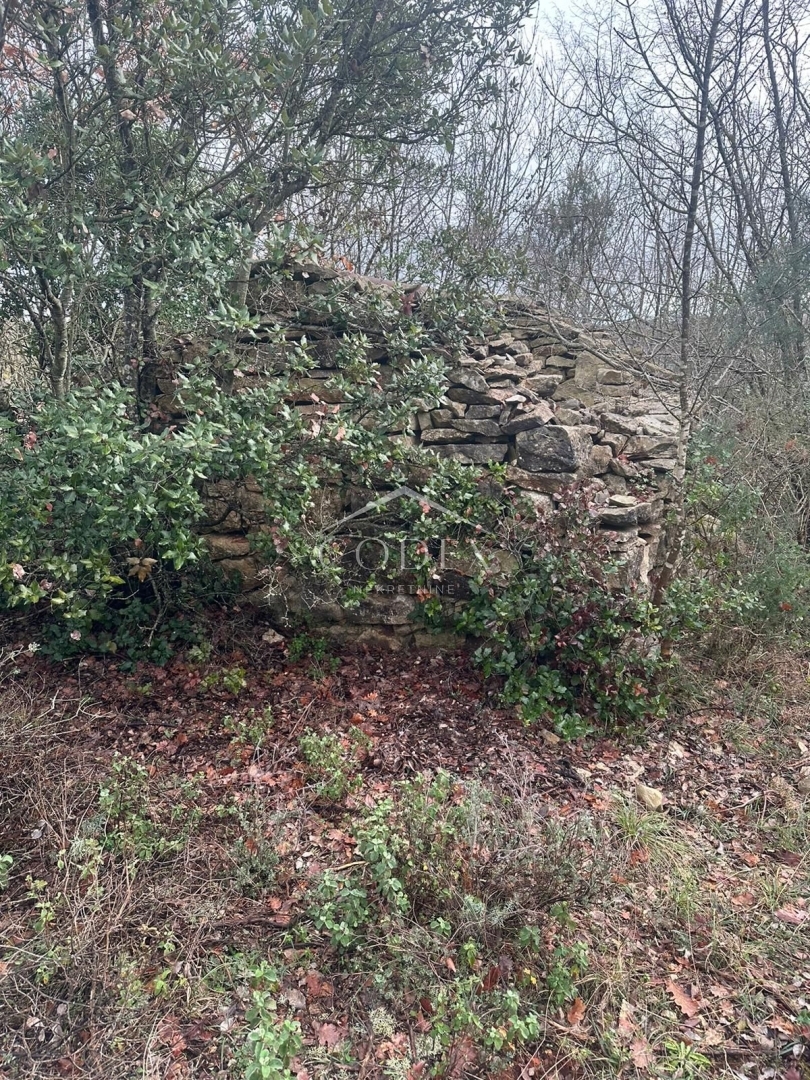 Krnica - prodaja kmetijskih parcel