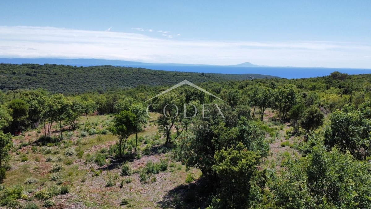 Krnica - prodaja kmetijskih parcel