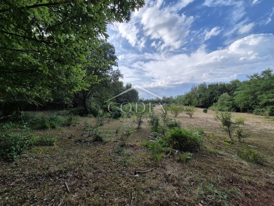Kaštelir – prodaja kmetijskega zemljišča z lastnim gozdom