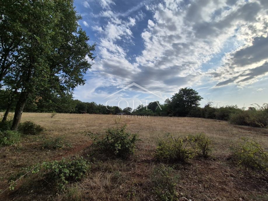 Kaštelir – prodaja kmetijskega zemljišča z lastnim gozdom