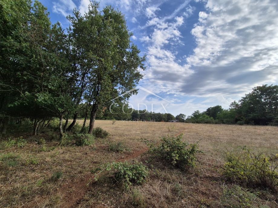 Kaštelir – prodaja kmetijskega zemljišča z lastnim gozdom