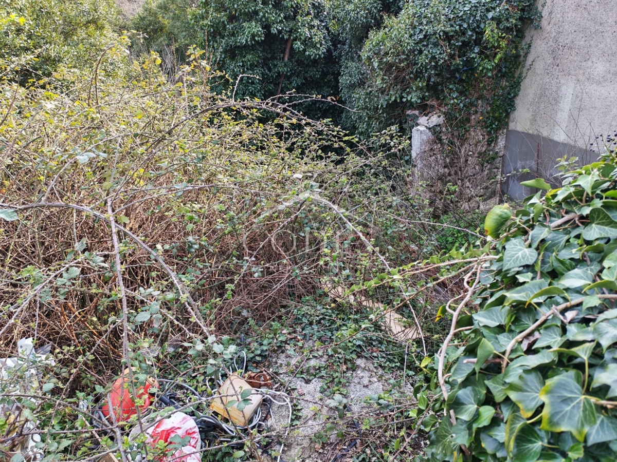 Grižane – Kamnita starina v mirni oazi s pogledom na naravo