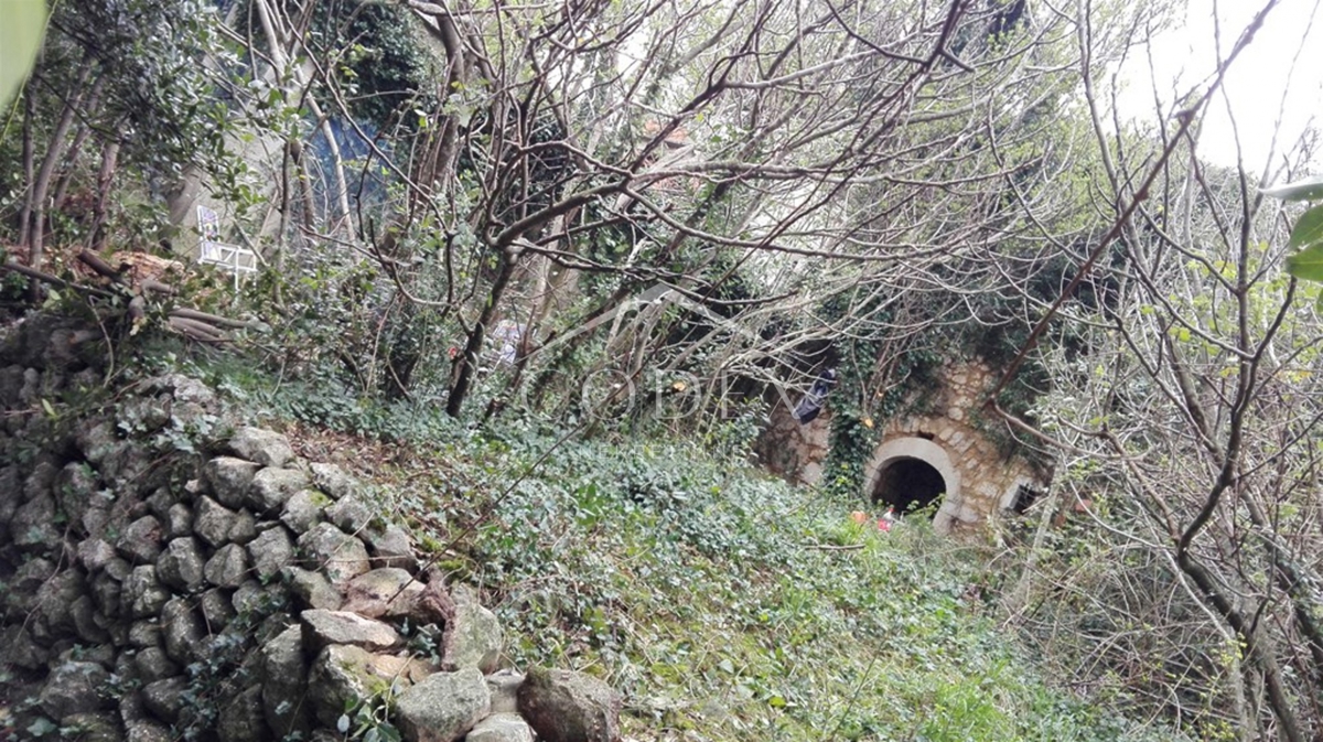 Grižane – Kamnita starina v mirni oazi s pogledom na naravo