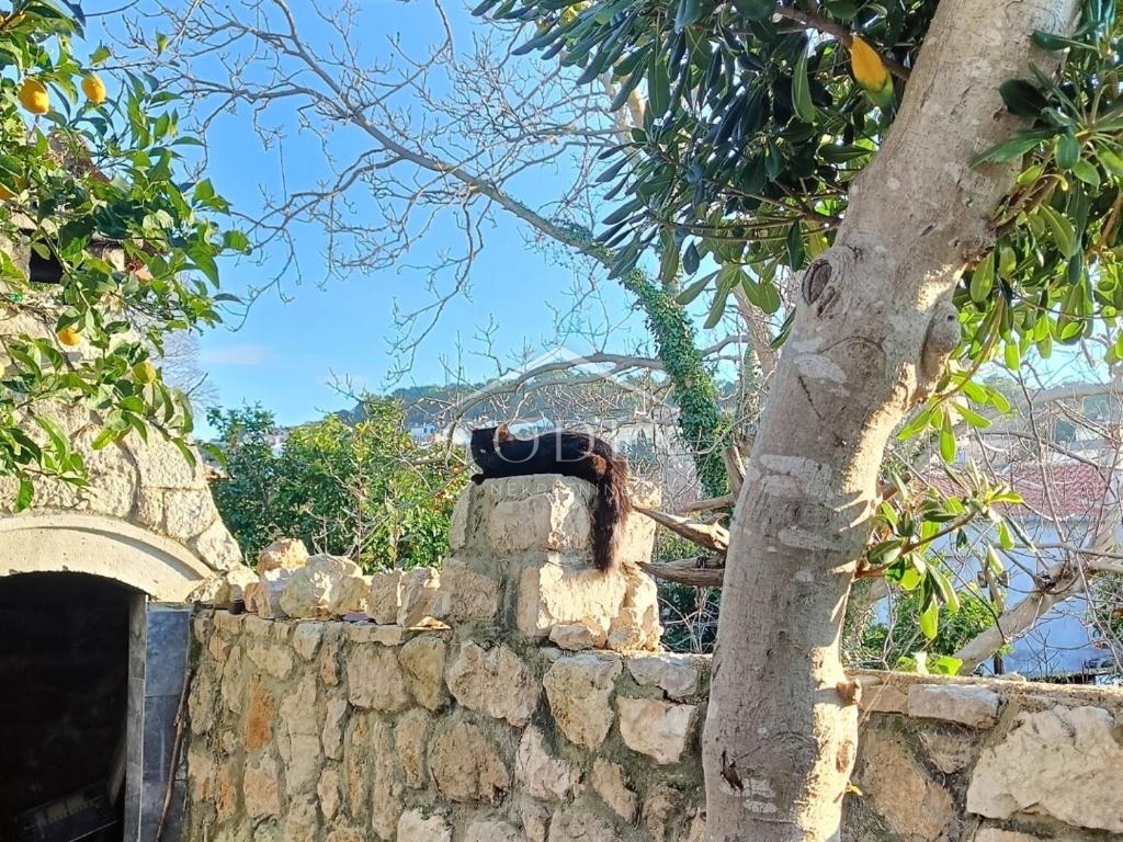 Hiša v središču Mali Lošinj z intimnim dvoriščem