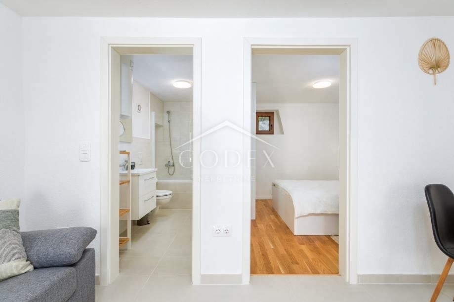 Šišan - lepa prenovljena hiša s 3 apartmaji