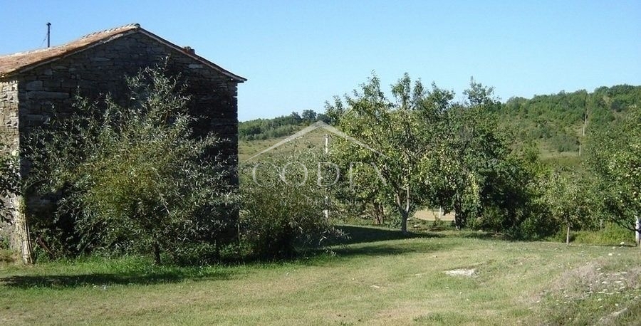 Novaki Motovunski - prodaja večjega zemljišča na podeželju
