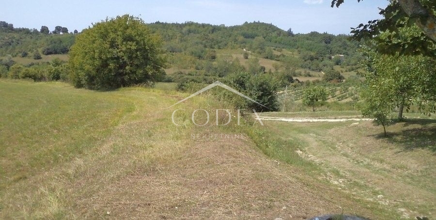 Novaki Motovunski - prodaja večjega zemljišča na podeželju