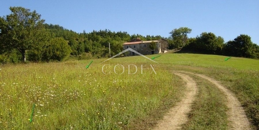 Novaki Motovunski - prodaja večjega zemljišča na podeželju
