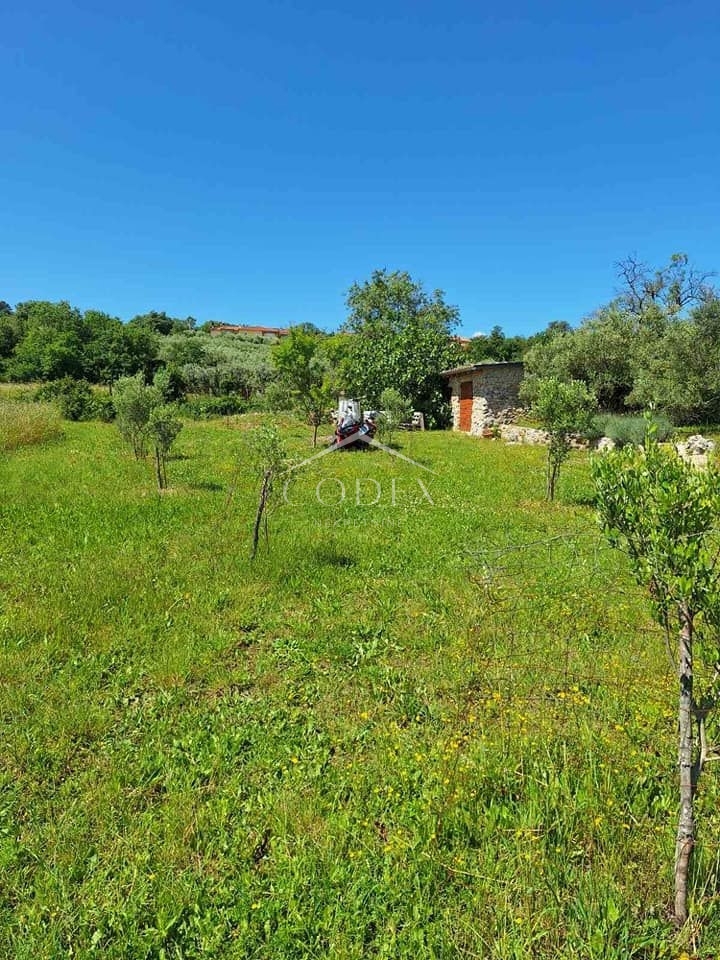 Otok Krk, Vrh - kmetijsko zemljišče