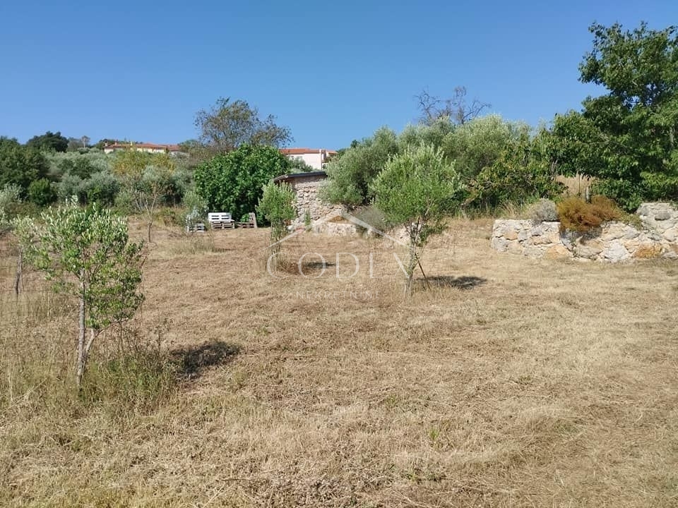 Otok Krk, Vrh - kmetijsko zemljišče