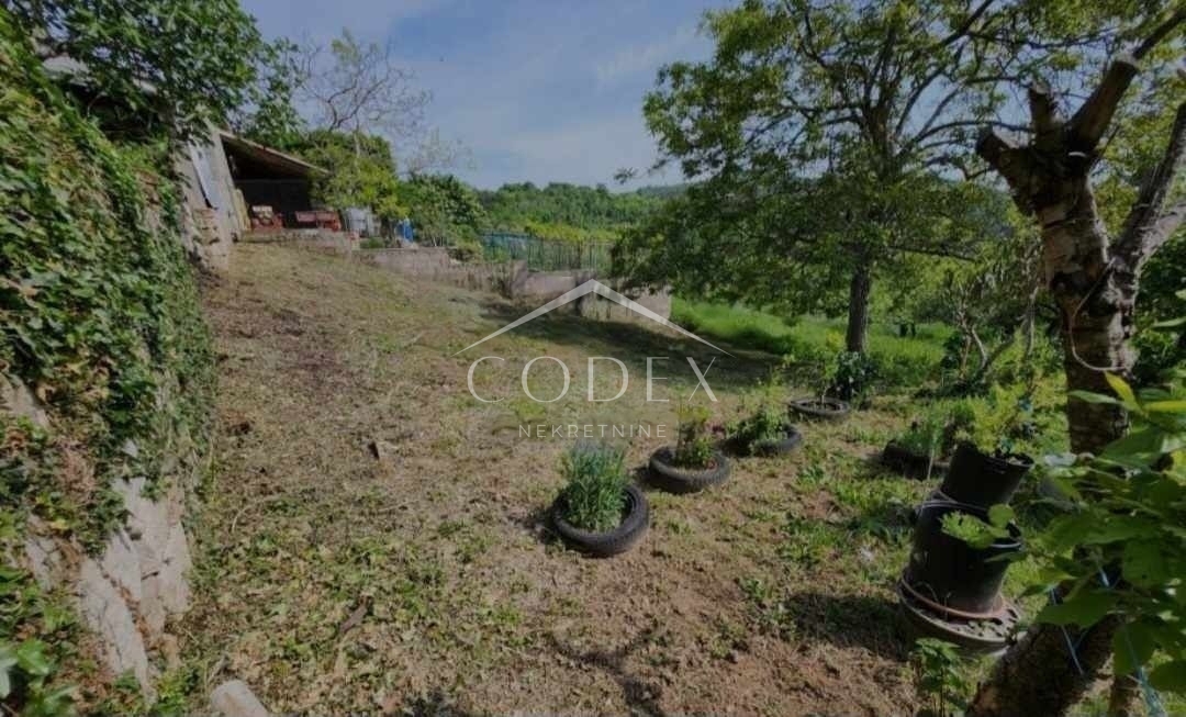 Buzet, okolica - prodaja starodobnikov z zemljiščem za adaptacijo