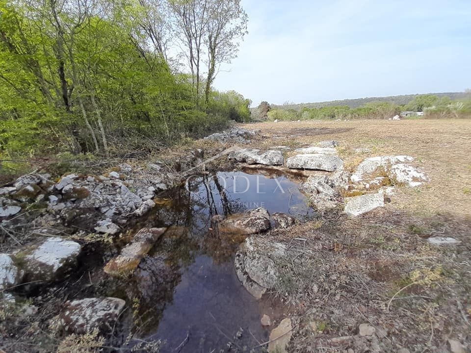 Rovinj - prodaja kmetijskega zemljišča