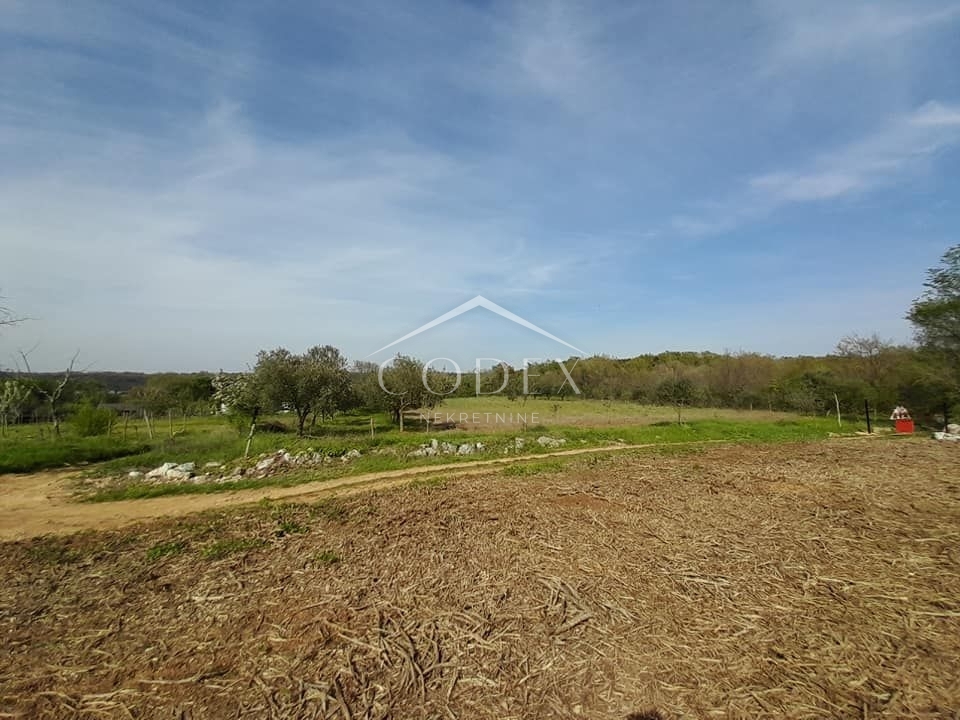 Rovinj - prodaja kmetijskega zemljišča