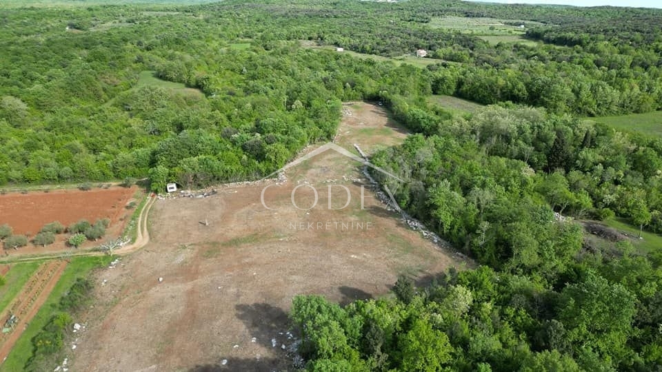 Rovinj - prodaja kmetijskega zemljišča