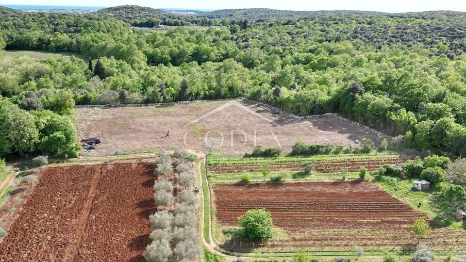 Rovinj - prodaja kmetijskega zemljišča