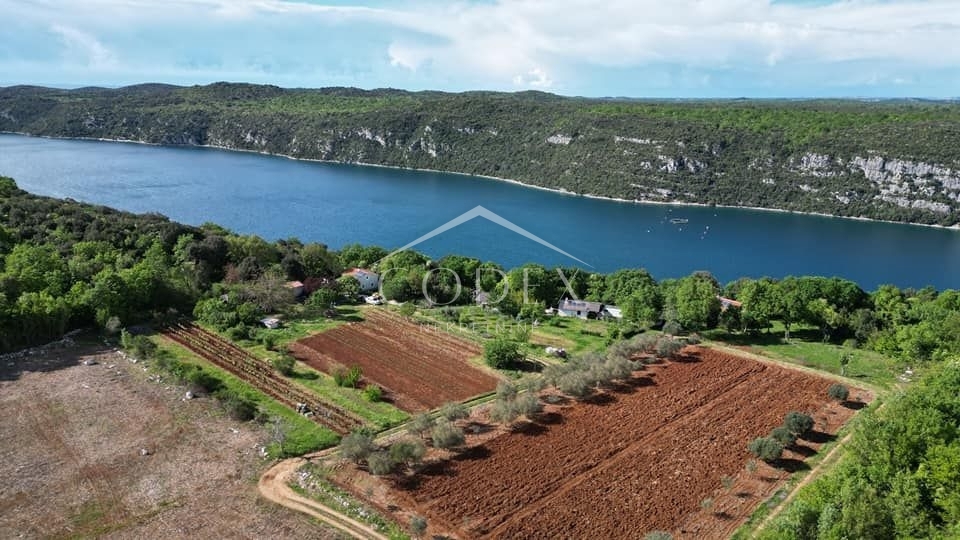 Rovinj - prodaja kmetijskega zemljišča