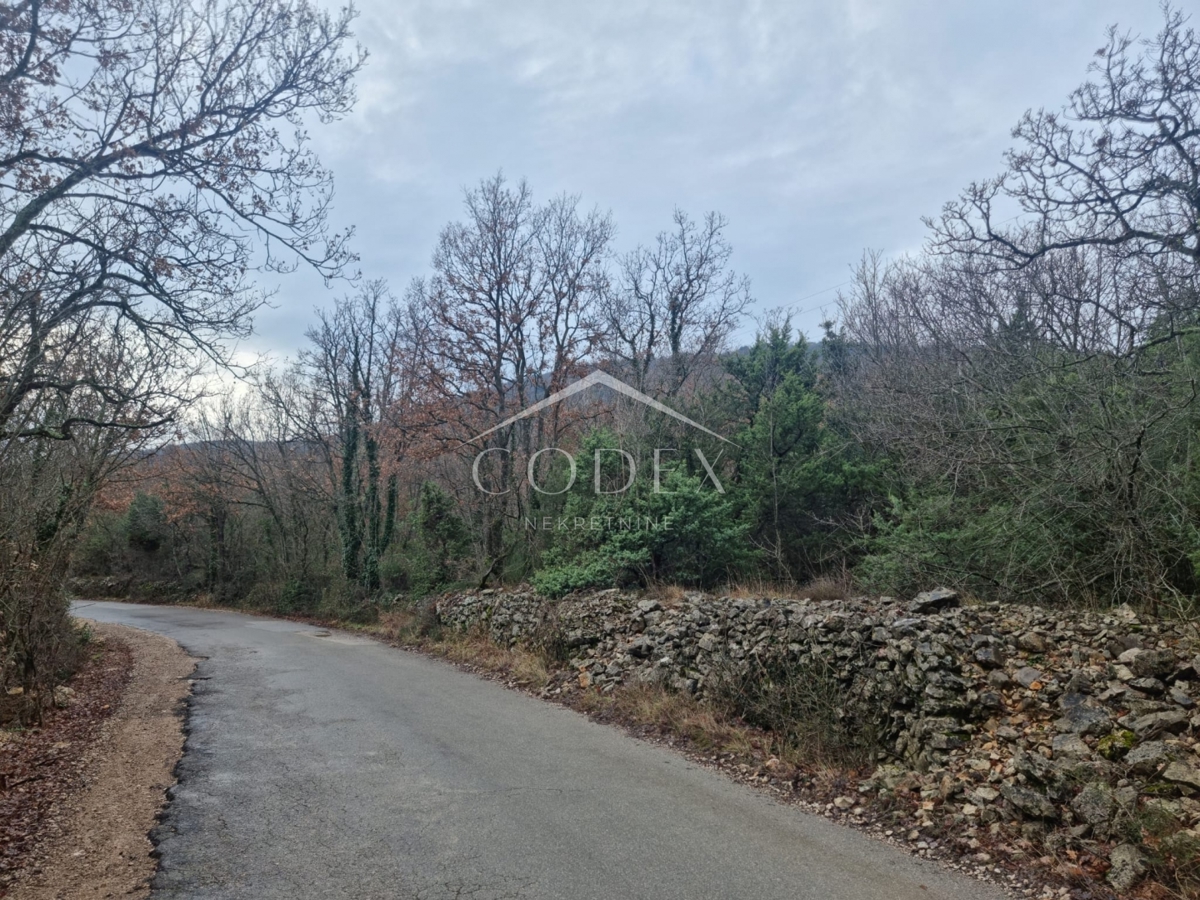 Labin – gozdno zemljišče z investicijskim potencialom