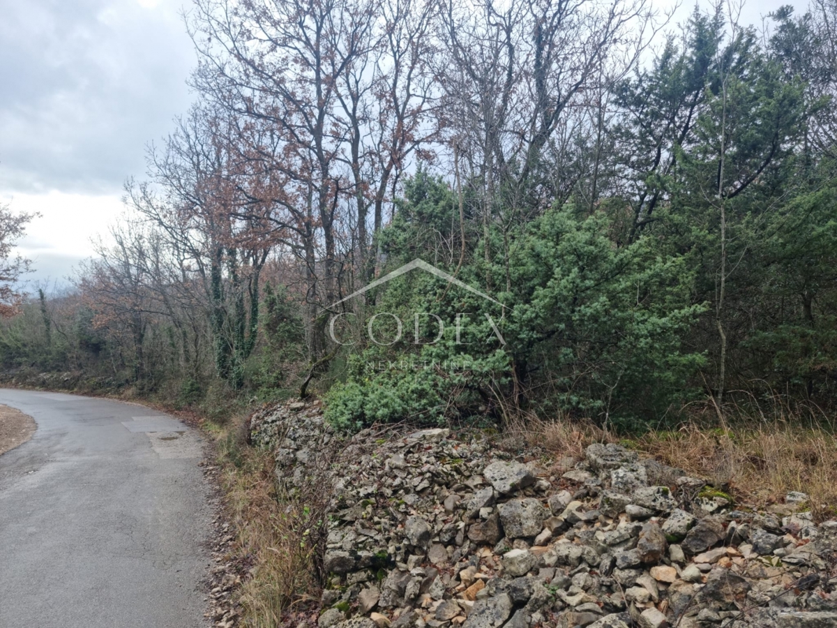 Labin – gozdno zemljišče z investicijskim potencialom