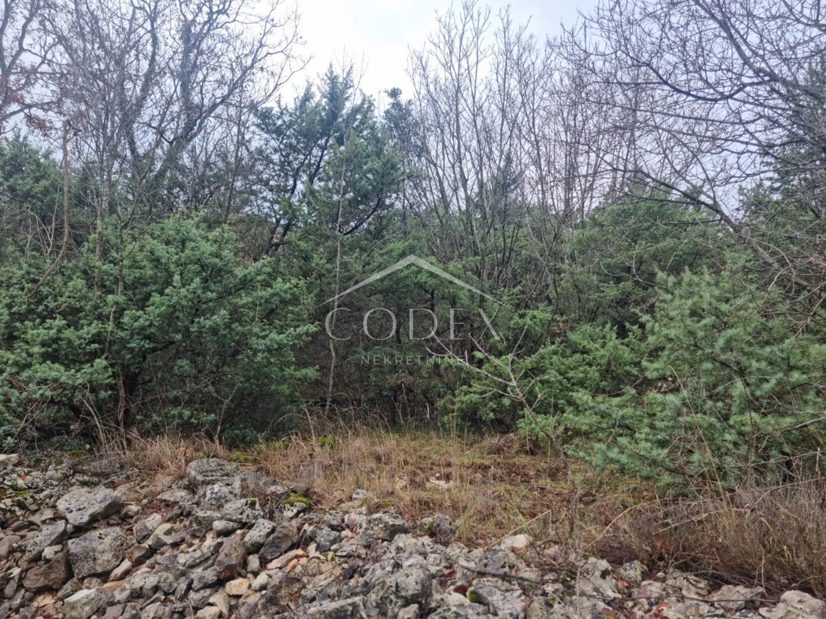 Labin – gozdno zemljišče z investicijskim potencialom