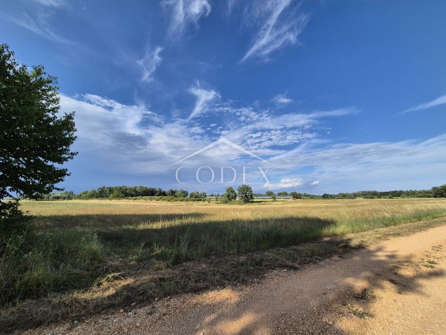 Kaštelir, Cerjani - prodaja velike kmetijske zemljišč