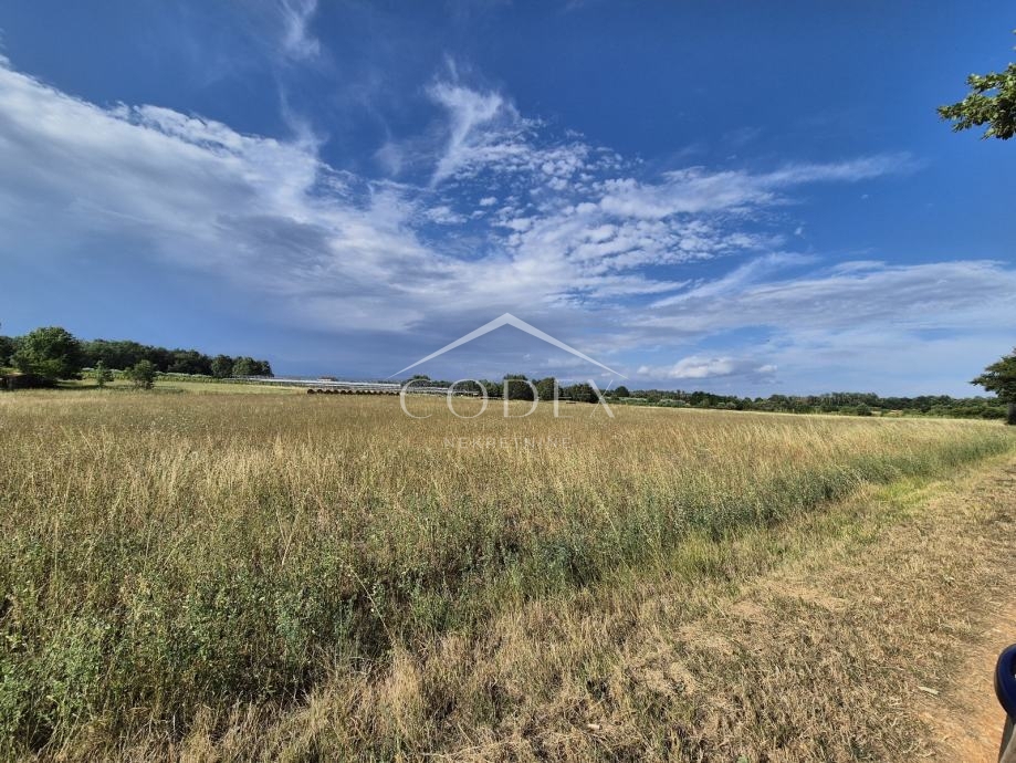 Kaštelir, Cerjani - prodaja velike kmetijske zemljišč