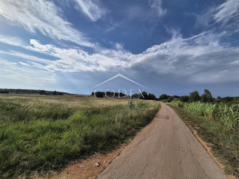 Kaštelir, Cerjani - prodaja velike kmetijske zemljišč