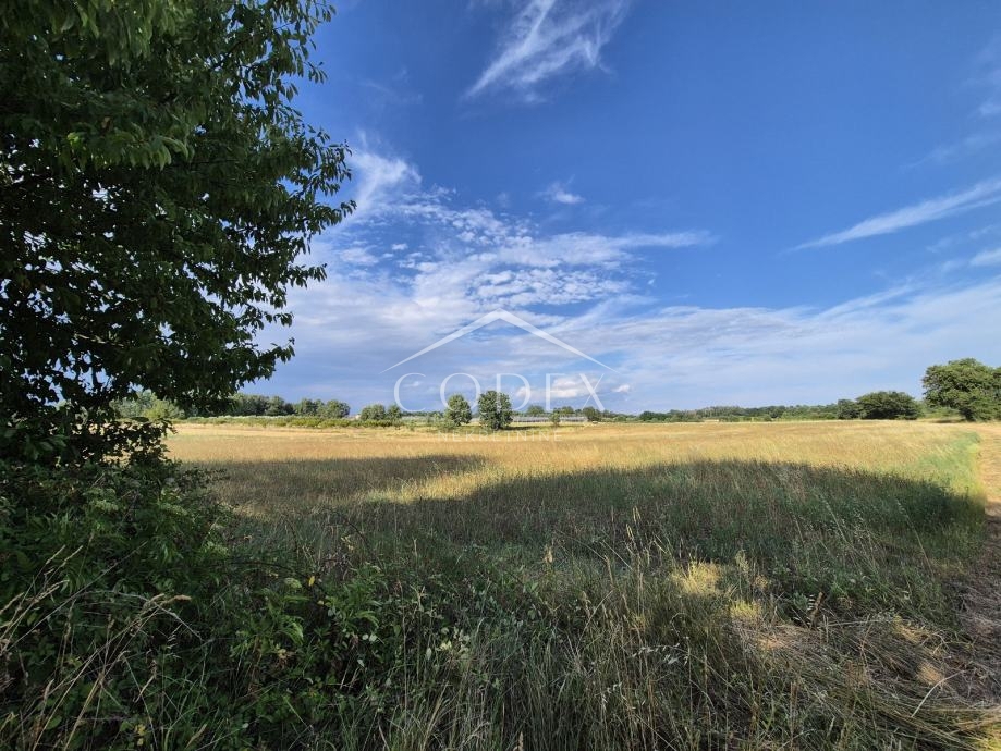 Kaštelir, Cerjani - prodaja velike kmetijske zemljišč