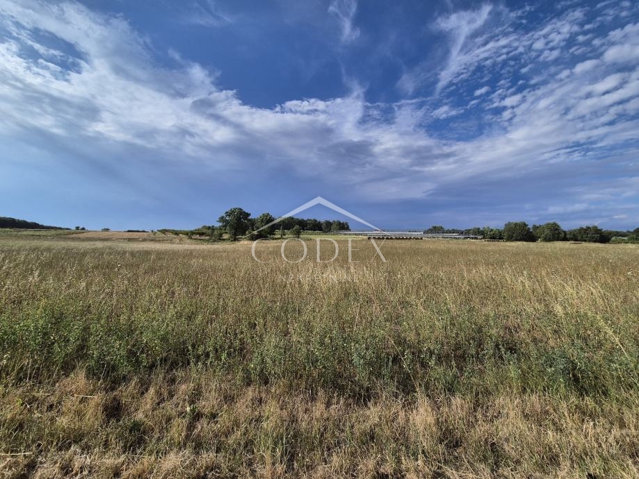 Kaštelir, Cerjani - prodaja velike kmetijske zemljišč