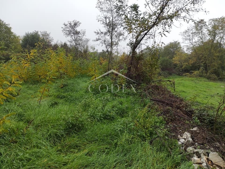 Tinjan - prodaja gradbenih parcel za stanovanjsko gradnjo