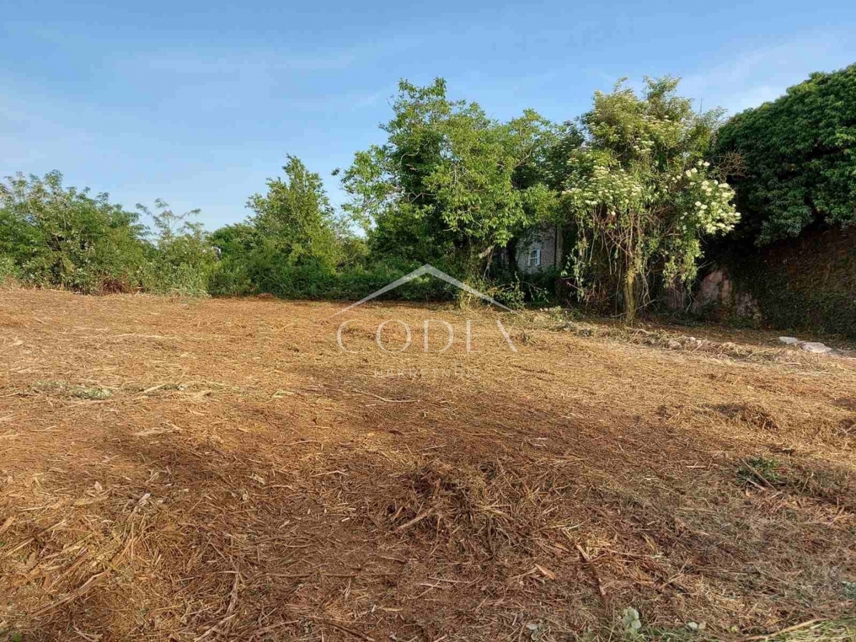 Vižinada - prodaja dvojčka z zazidljivim zemljiščem