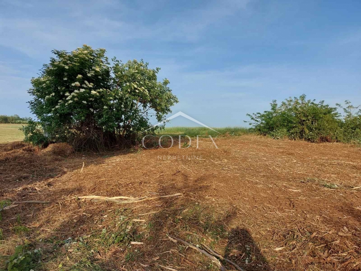 Vižinada - prodaja dvojčka z zazidljivim zemljiščem