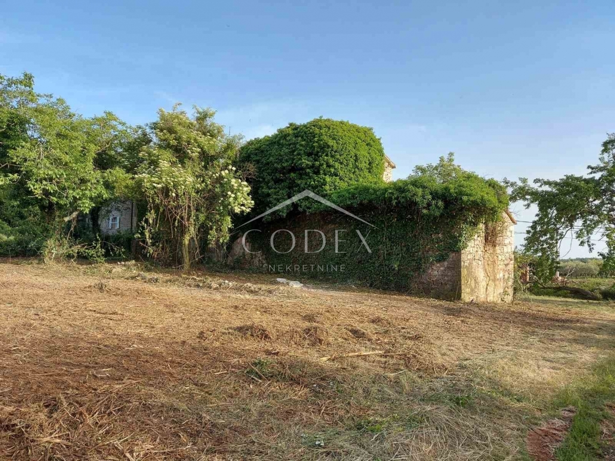 Vižinada - prodaja dvojčka z zazidljivim zemljiščem