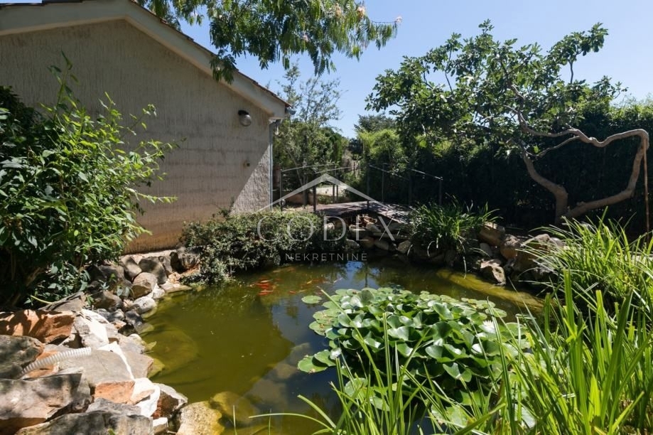 Poreč - čudovita vila s 3 apartmaji in bazenom