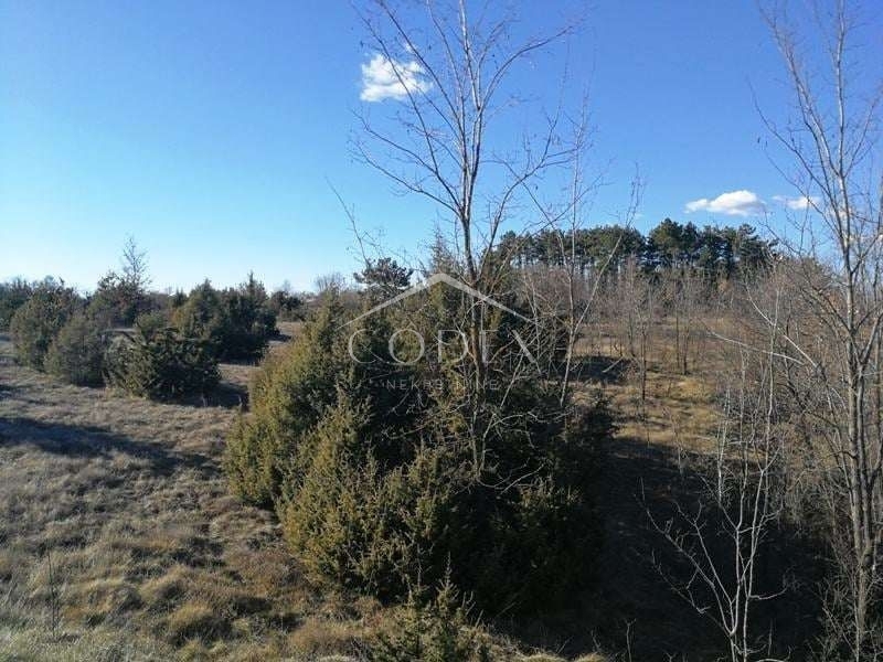 Žminj - prodaja kmetijskega zemljišča, 46.000 m2