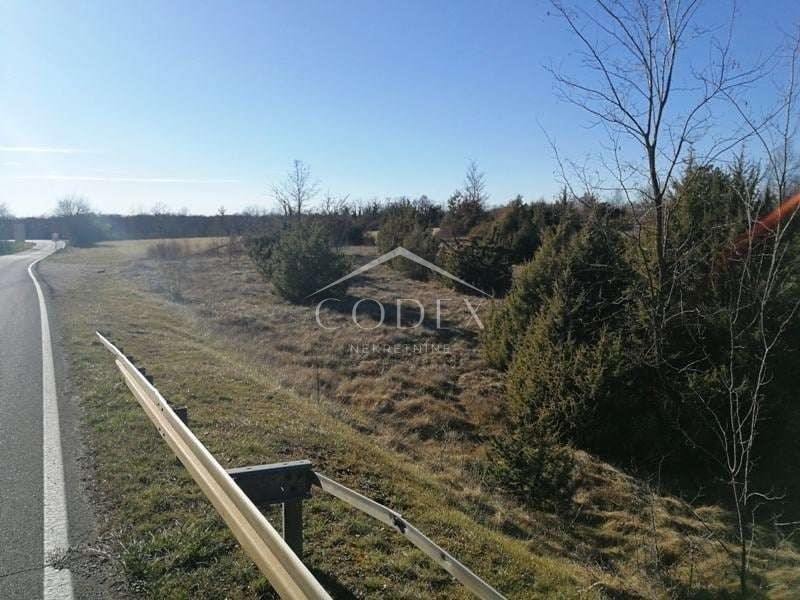 Žminj - prodaja kmetijskega zemljišča, 46.000 m2